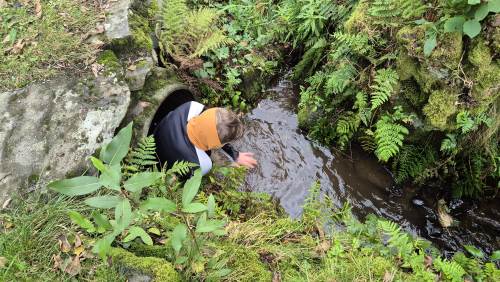 Ingen sette seg fast, heldigvis!